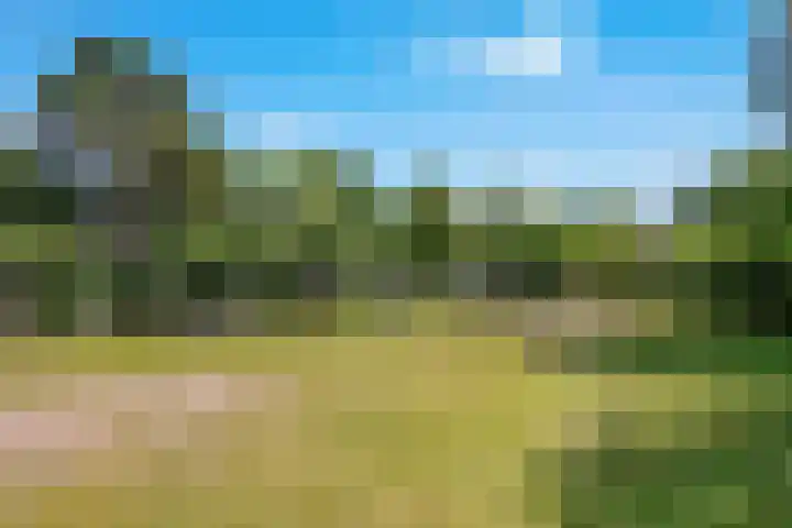 Kruisbeklaan 13 Bilthoven thumbnail 19