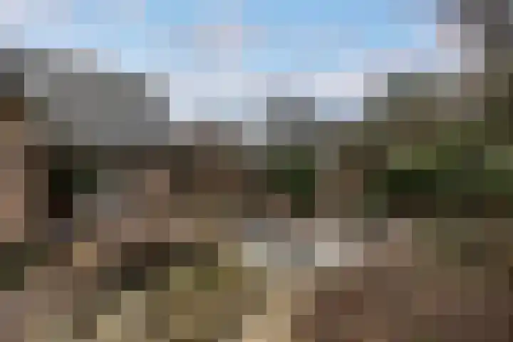 Kruisbeklaan 3 Maarn thumbnail 45