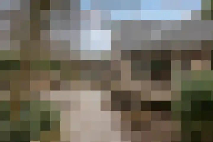 Kruisbeklaan 3 Maarn thumbnail 48