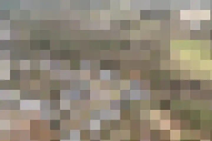 Kruisbeklaan 3 Maarn thumbnail 53