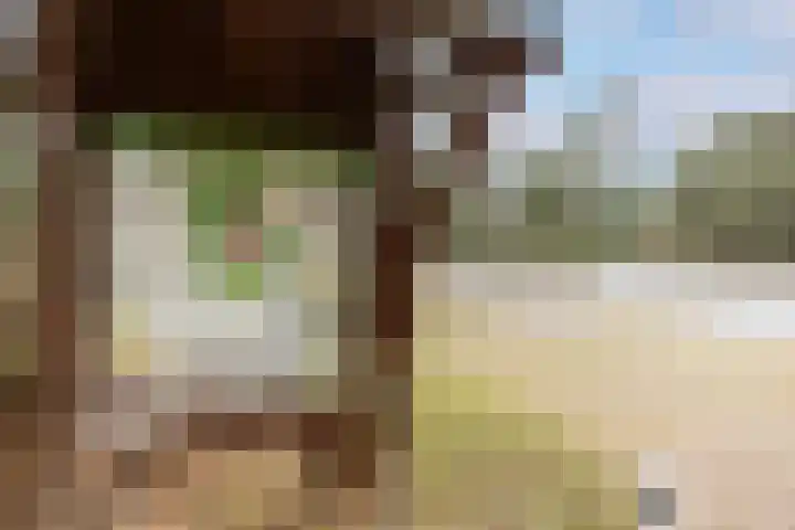Kruisbeklaan 3 Maarn thumbnail 57