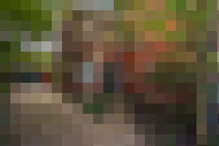 Kruisbeklaan 38 Den Haag thumbnail 5