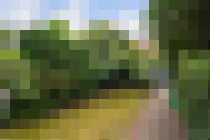Kruisbeklaan 39 Den Haag thumbnail 6