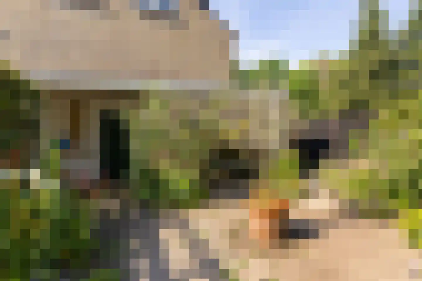 Kruisbeklaan 4 Bilthoven thumbnail 32