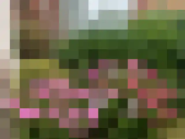 Kruisbeklaan 41 Den Haag thumbnail 6