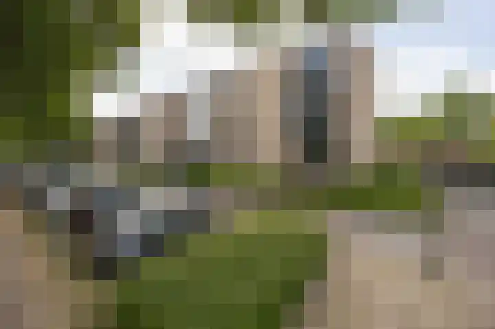 Kruisberg 119 Etten-Leur thumbnail 27