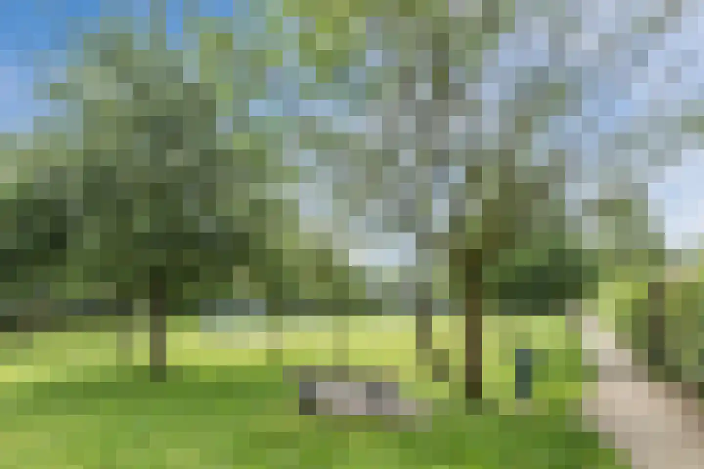 Kruisberg 40 Diessen thumbnail 36