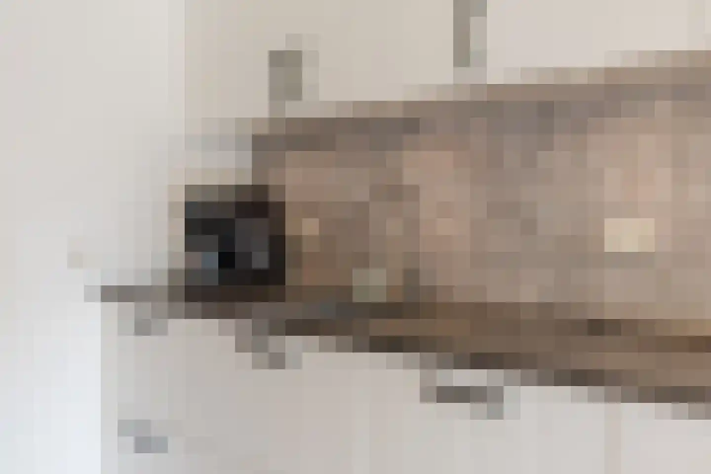Kruisberg 40 Diessen thumbnail 8