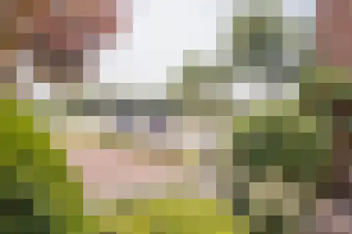 Kruisberglaan 16 IJmuiden thumbnail 4