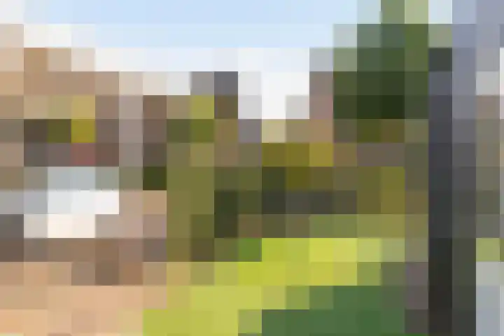 Kruisbergsestraat 21 Overasselt thumbnail 22