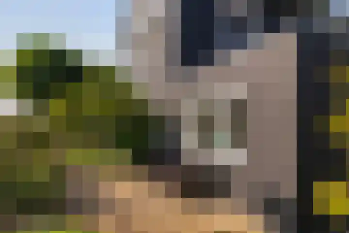 Kruisbergsestraat 21 Overasselt thumbnail 23
