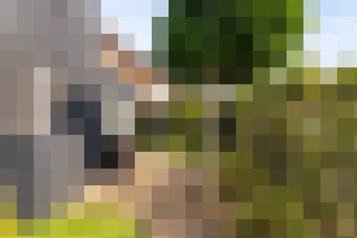 Kruisbergsestraat 21 Overasselt thumbnail 24