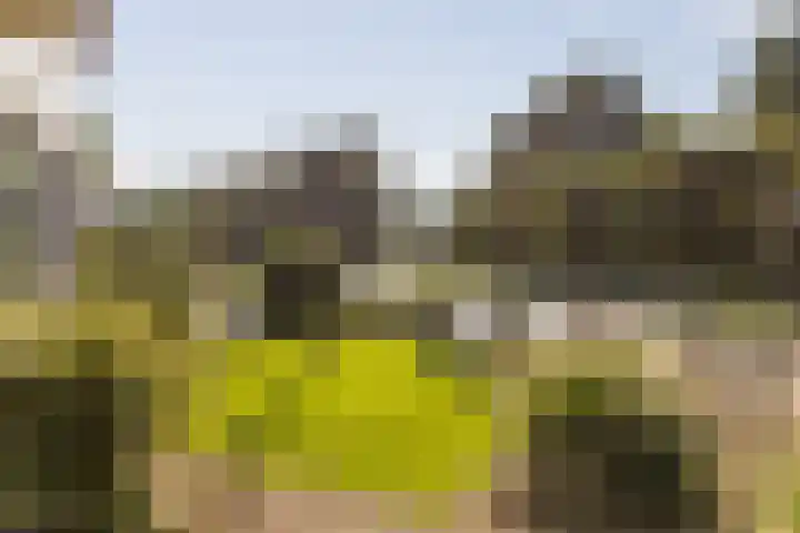 Kruisbergsestraat 21 Overasselt thumbnail 25
