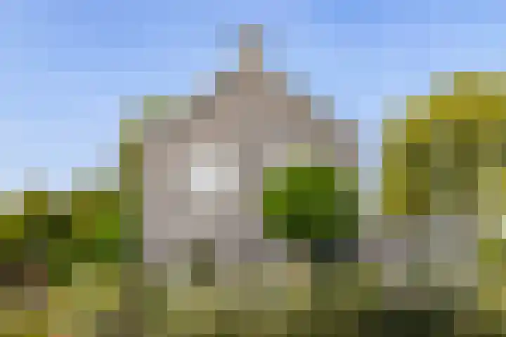 Kruisbergsestraat 21 Overasselt thumbnail 8