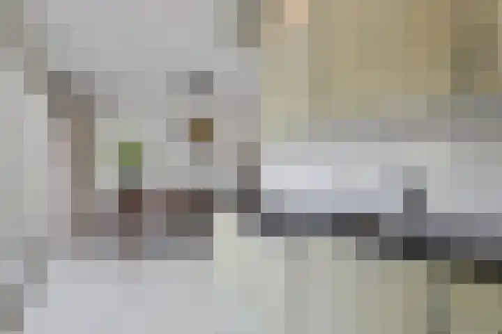 Kruisbergsestraat 49 Overasselt thumbnail 20