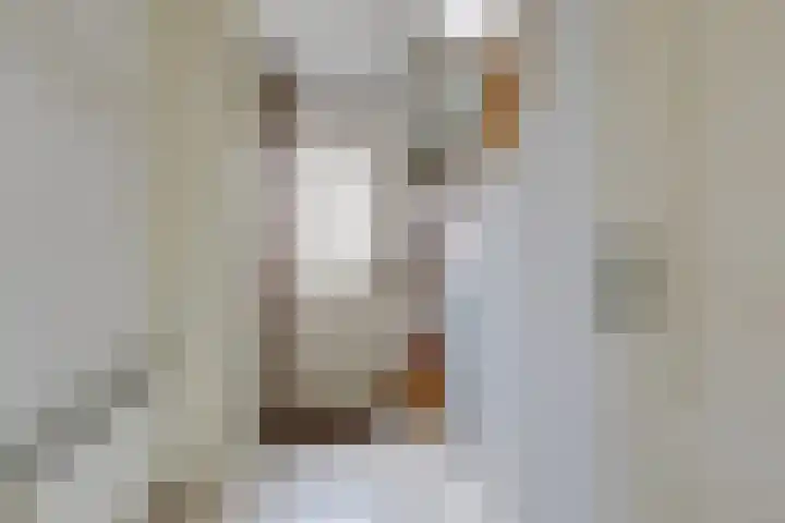 Kruisbergsestraat 49 Overasselt thumbnail 22