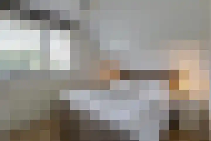 Kruisbergsestraat 49 Overasselt thumbnail 26