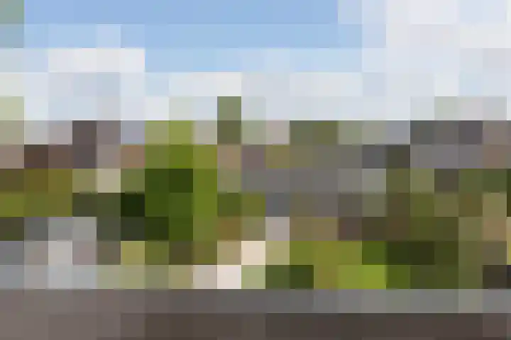 Kruisbergsestraat 49 Overasselt thumbnail 28