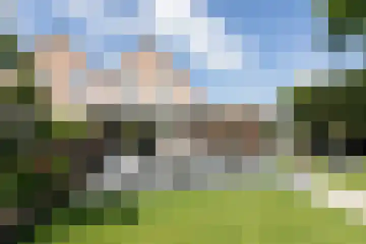 Kruisbergsestraat 49 Overasselt thumbnail 35