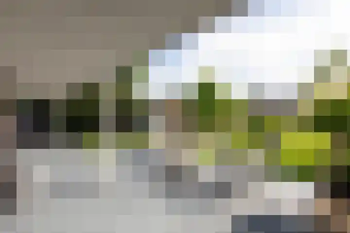 Kruisbergsestraat 49 Overasselt thumbnail 39