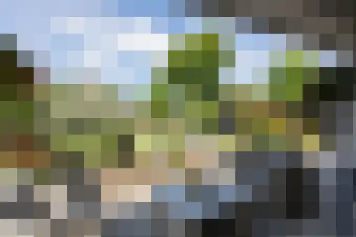 Kruisbergsestraat 49 Overasselt thumbnail 41
