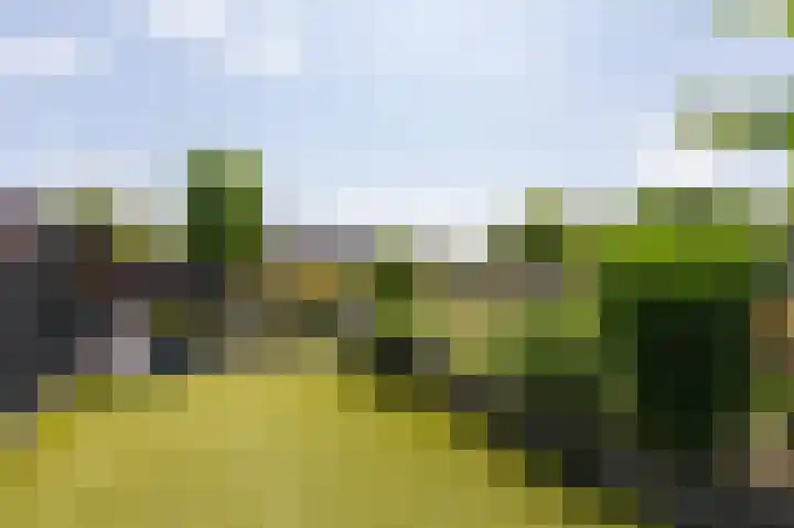 Kruisbergsestraat 49 Overasselt thumbnail 43