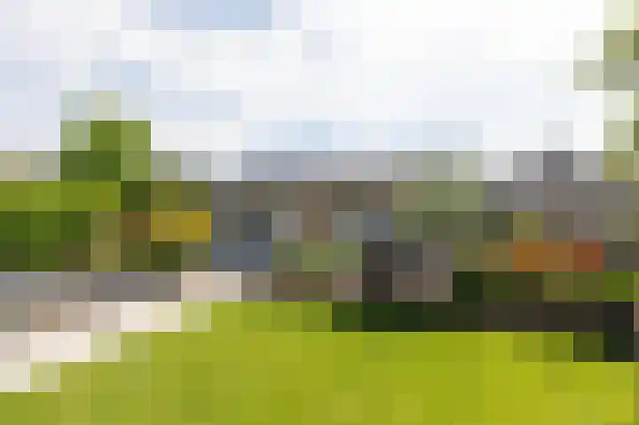 Kruisbergsestraat 49 Overasselt thumbnail 44