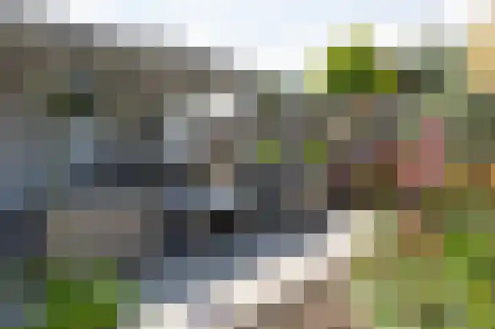 Kruisbergsestraat 49 Overasselt thumbnail 53