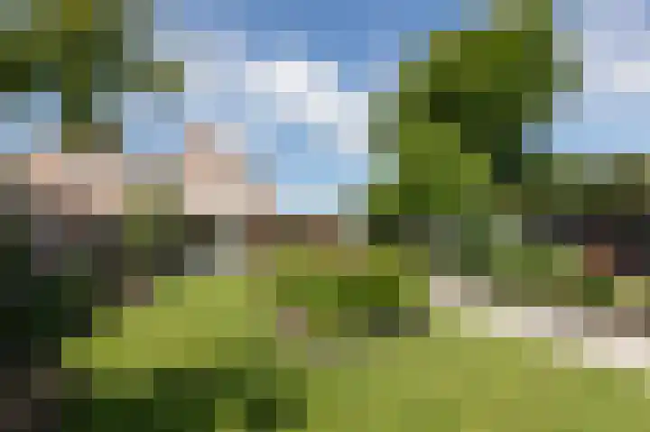 Kruisbergsestraat 49 Overasselt thumbnail 55