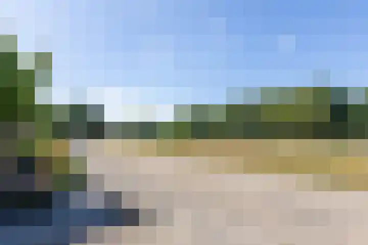 Kruisbergsestraat 49 Overasselt thumbnail 58