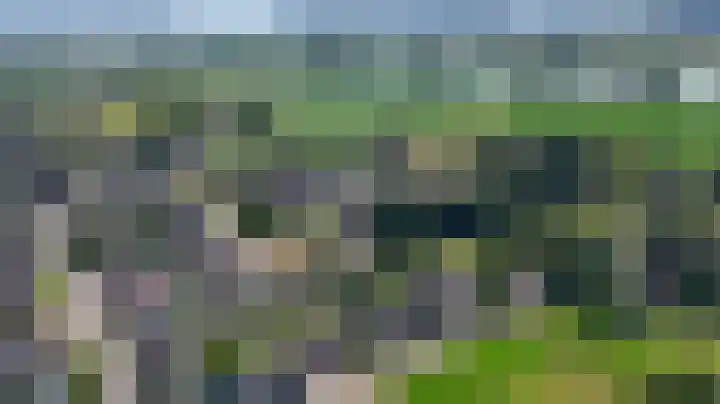 Kruisbergsestraat 49 Overasselt thumbnail 64