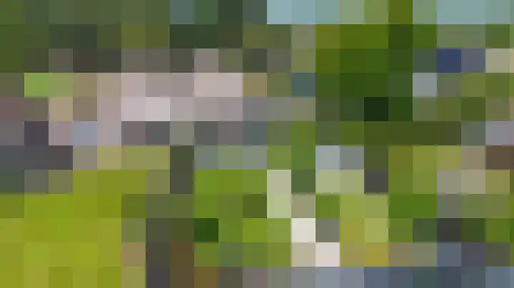Kruisbergsestraat 49 Overasselt thumbnail 66