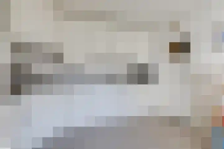 Kruisbergsestraat 57 Overasselt thumbnail 10