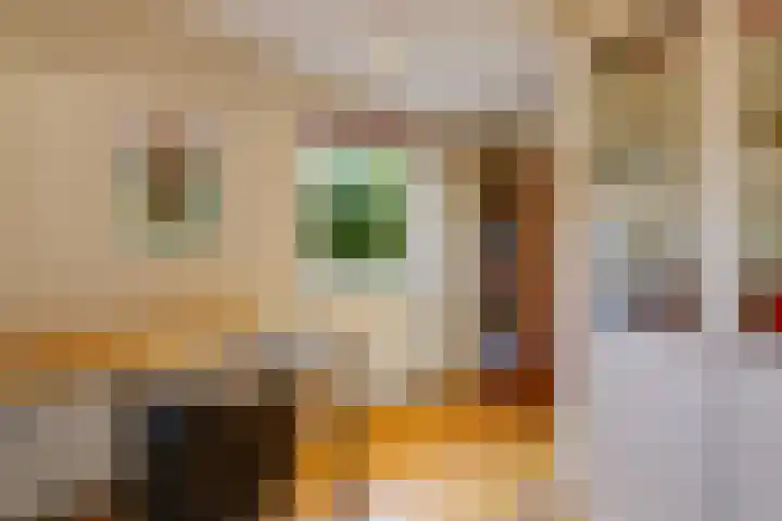 Kruisbergsestraat 57 Overasselt thumbnail 14