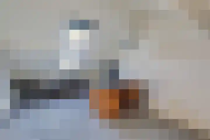 Kruisbergsestraat 57 Overasselt thumbnail 36