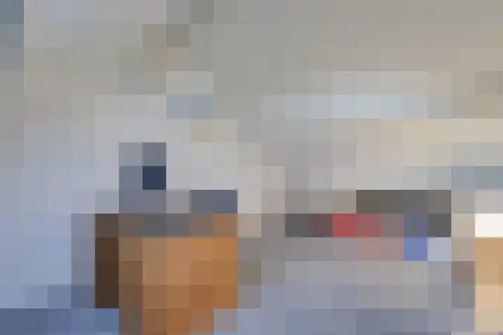 Kruisbergsestraat 57 Overasselt thumbnail 37