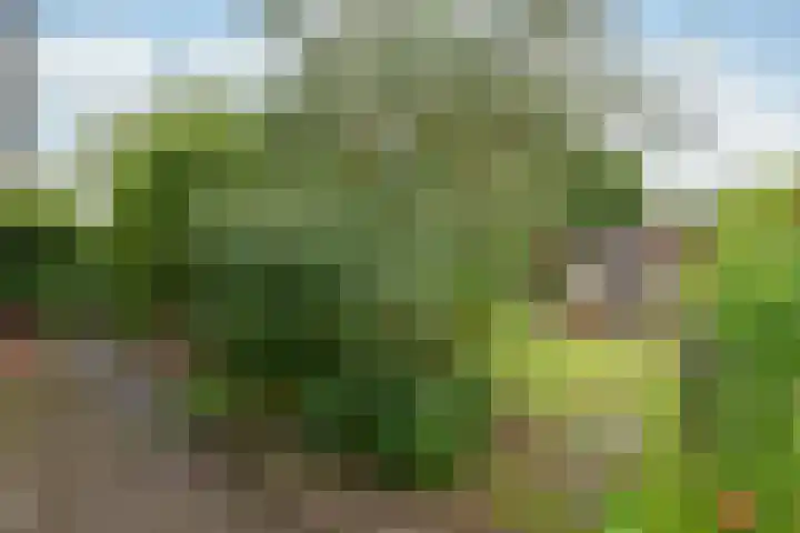 Kruisbergsestraat 57 Overasselt thumbnail 42