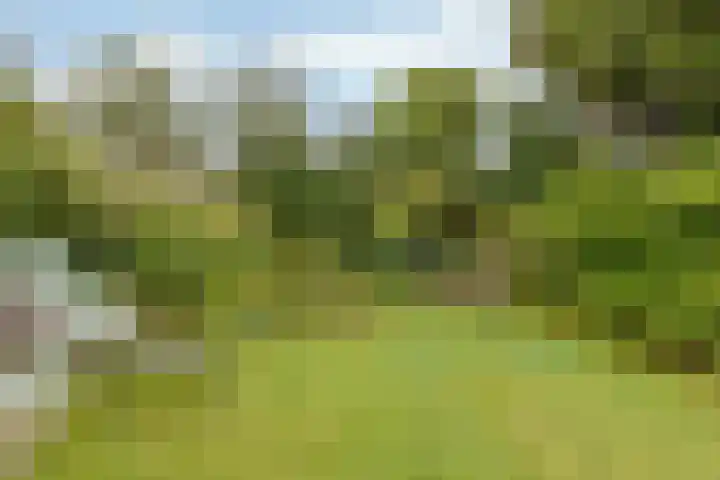 Kruisbergsestraat 57 Overasselt thumbnail 45