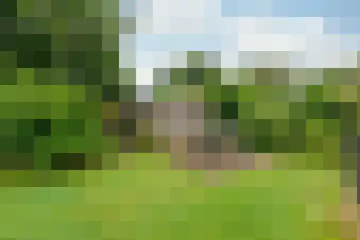 Kruisbergsestraat 57 Overasselt thumbnail 46