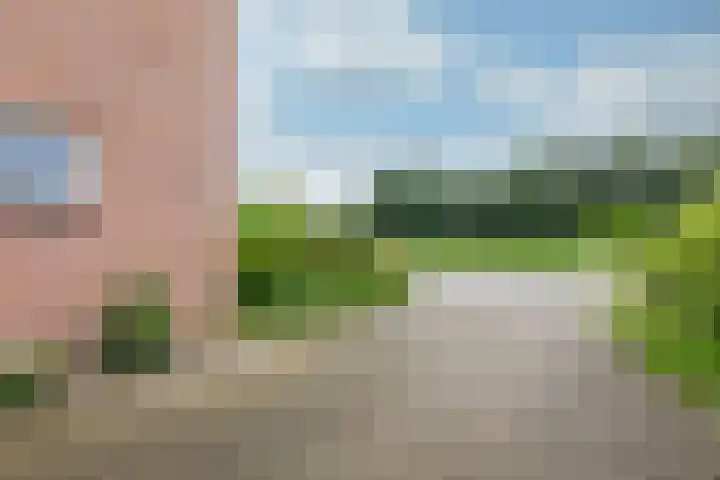 Kruisbergsestraat 57 Overasselt thumbnail 48