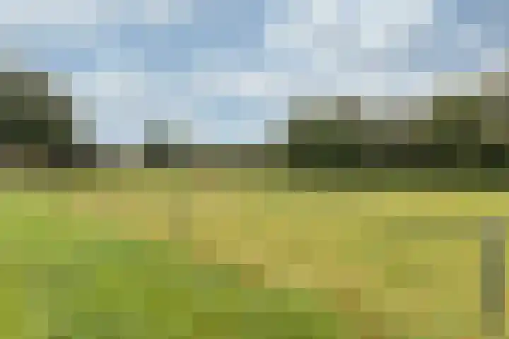 Kruisbergsestraat 57 Overasselt thumbnail 52