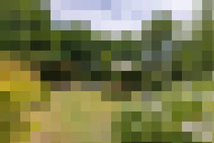 Kruisbergseweg 130 Doetinchem thumbnail 19