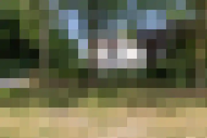 Kruisbergseweg 130 Doetinchem thumbnail 60