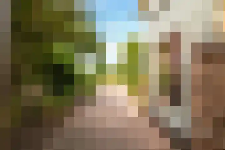 Kruisbergseweg 18 Zelhem thumbnail 5