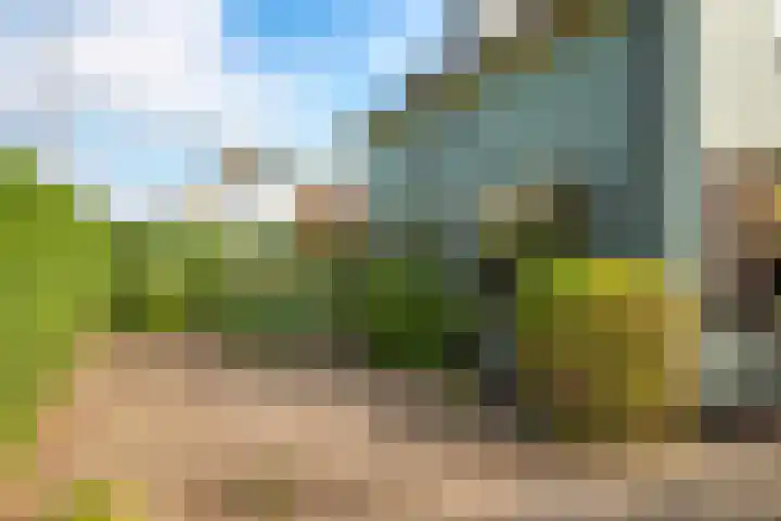 Kruisbergseweg 18 Zelhem thumbnail 7