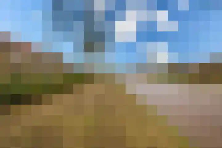 Kruisbergseweg 35 Wijchen thumbnail 28