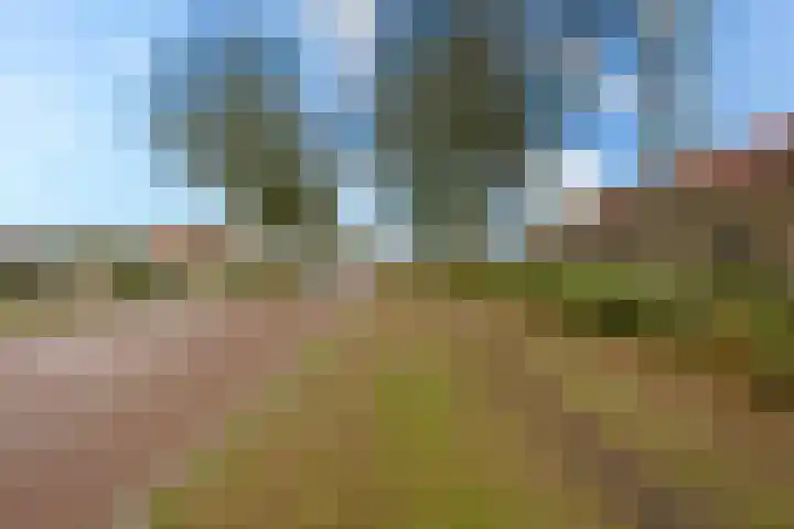 Kruisbergseweg 35 Wijchen thumbnail 29