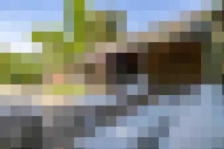 Kruisbergseweg 44 Doetinchem thumbnail 30