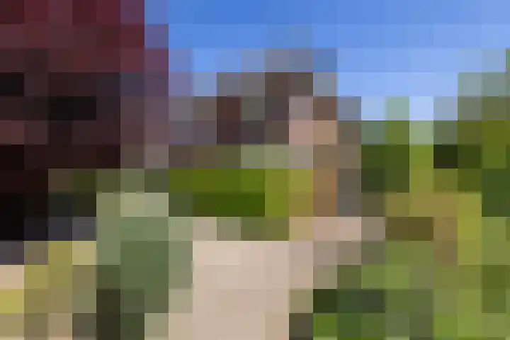 Kruisbergseweg 44 Doetinchem thumbnail 41