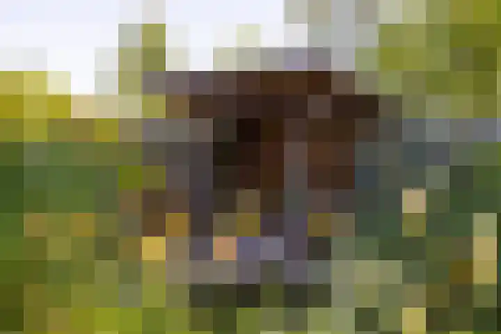 Kruisbergseweg 84 Doetinchem thumbnail 38
